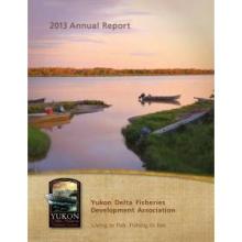 2013 Annual Report