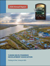YDFDA 2020 Annual Report